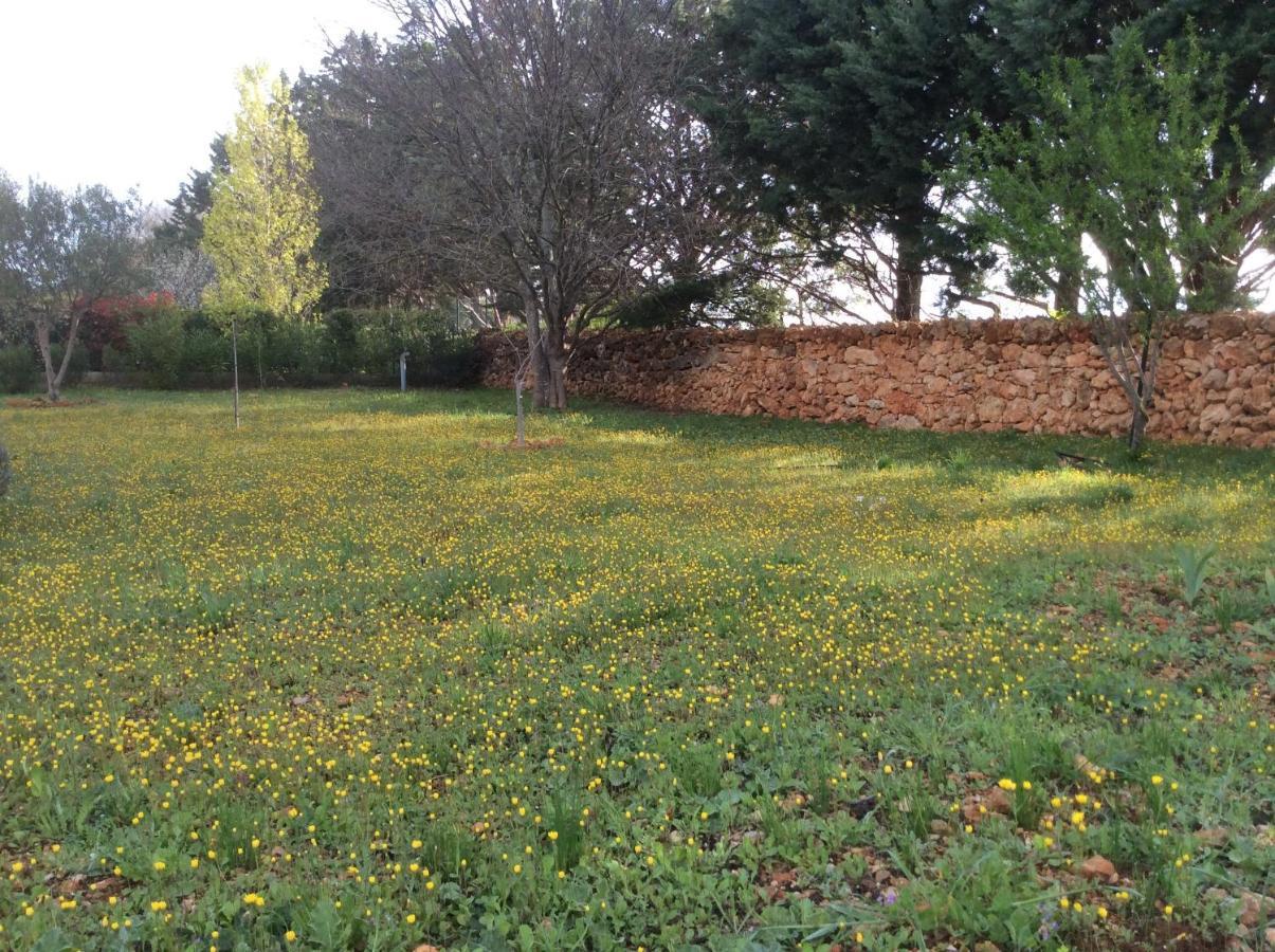 Villa Faro Provence Var Montfort-sur-Argens Eksteriør billede